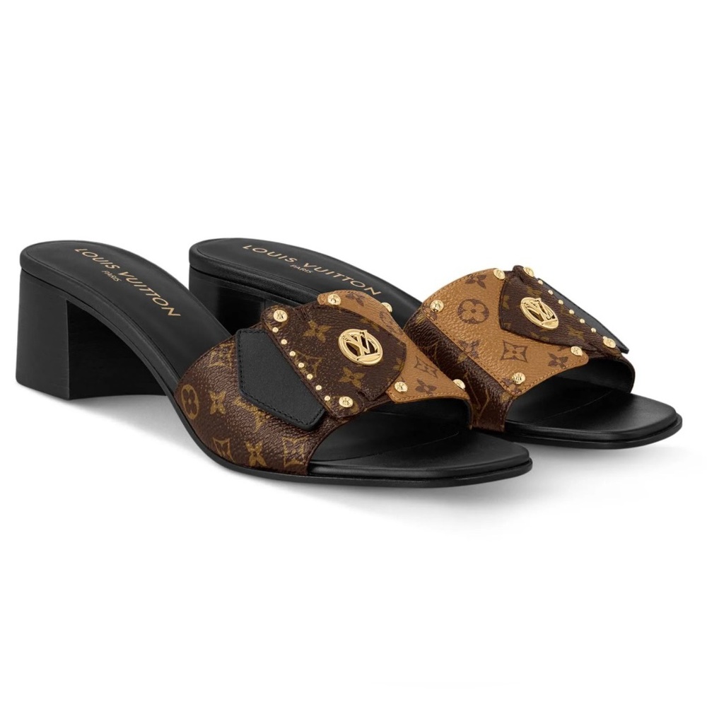 Louis Vuitton Brown and Black Mules